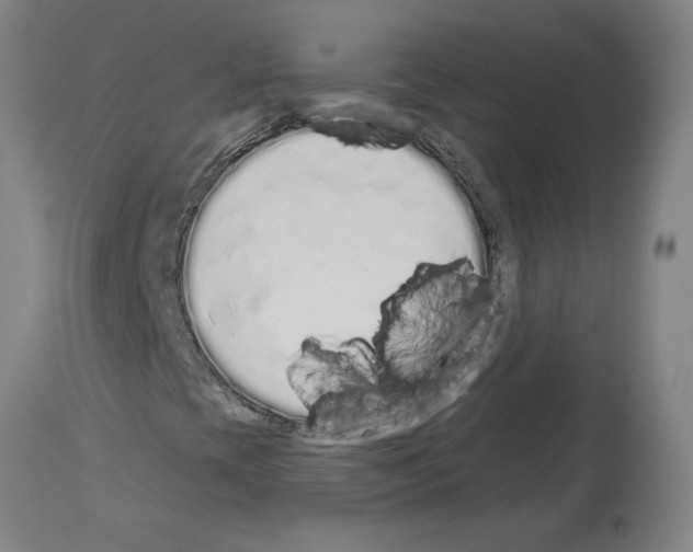 X0000114001393200911131130