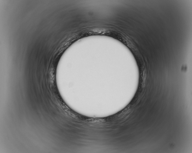X0000114001394200911131130