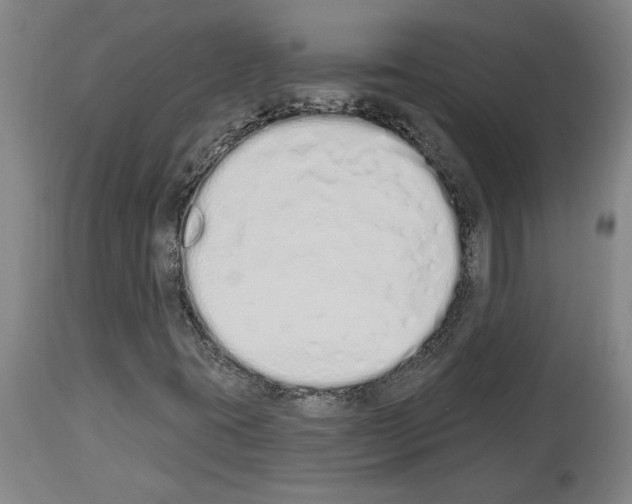 X0000114001395200911131130