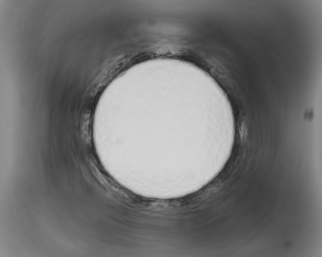 X0000114001396200911131130