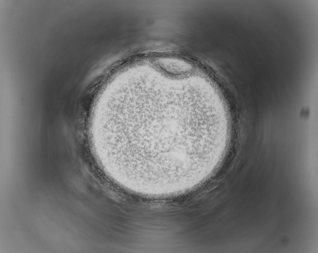 X0000114001399200911131130