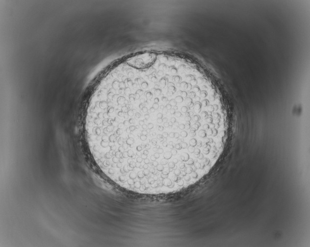 X0000114001400200911131130