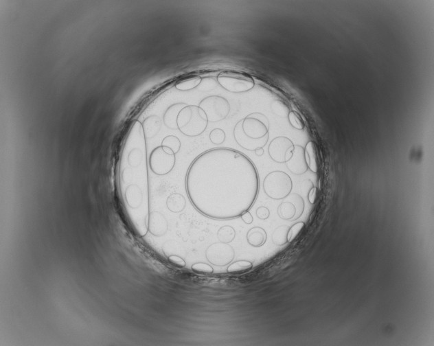 X0000114001408200911131130