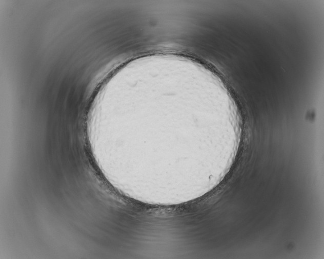 X0000114001410200911131130