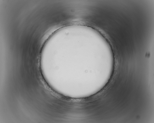 X0000114001415200911131130