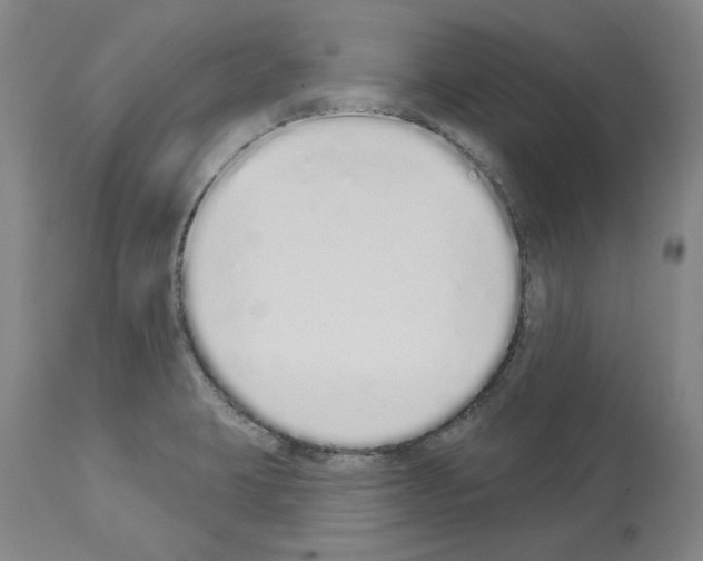 X0000114001423200911131130