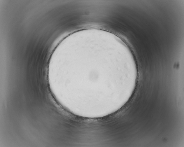 X0000114001424200911131130