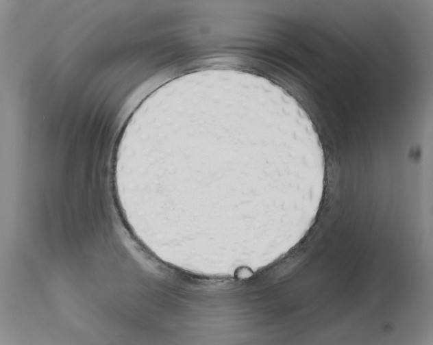 X0000114001426200911131130