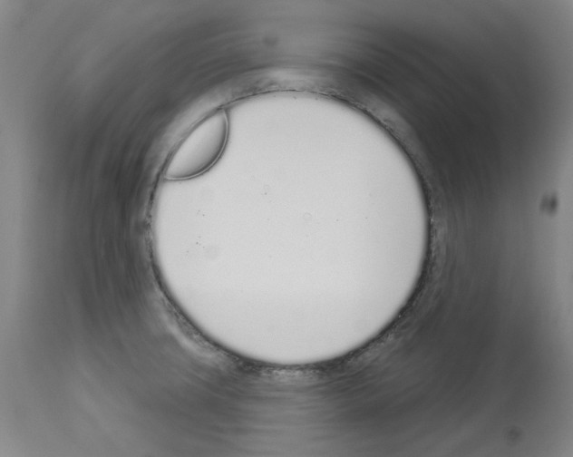 X0000114001427200911131130