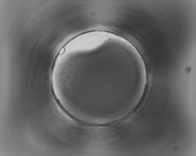 X0000114001428200911131130