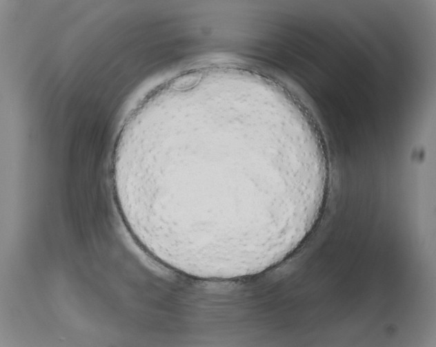 X0000114001429200911131130