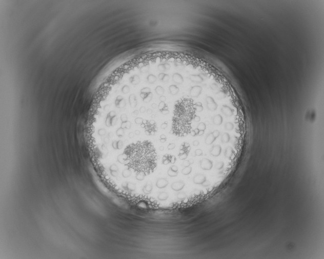 X0000114001433200911131130