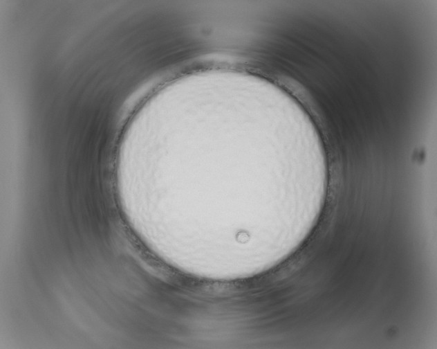 X0000114001435200911131130