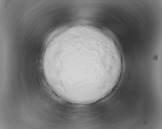 X0000114001436200911131130