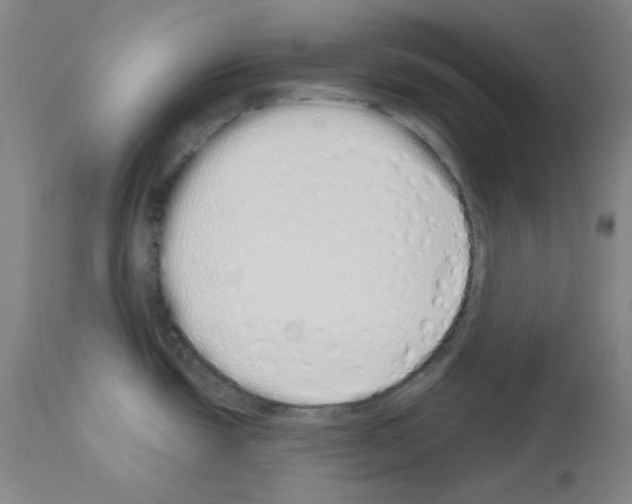 X0000114001438200911131130
