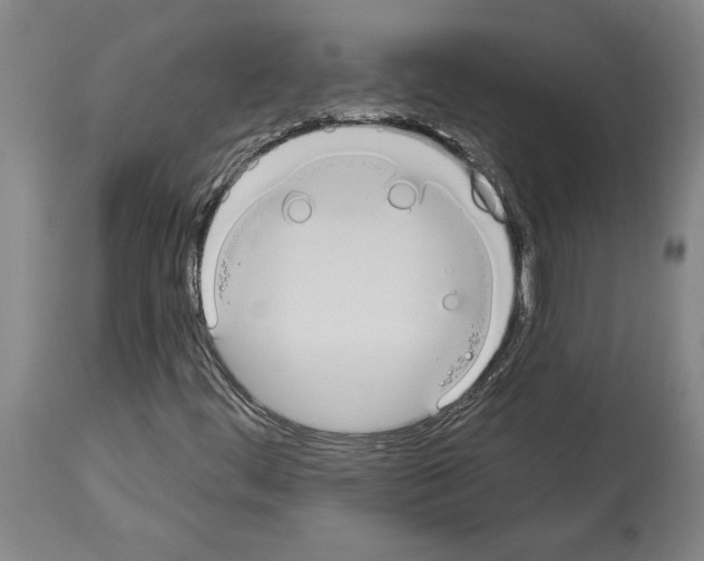 X0000114001444200911131130