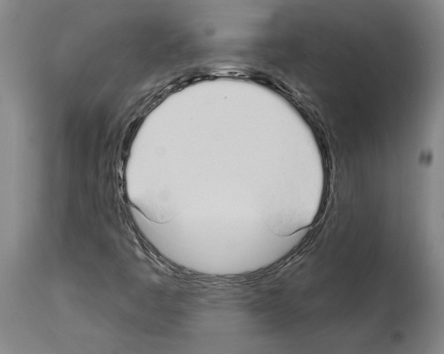 X0000114001445200911131130
