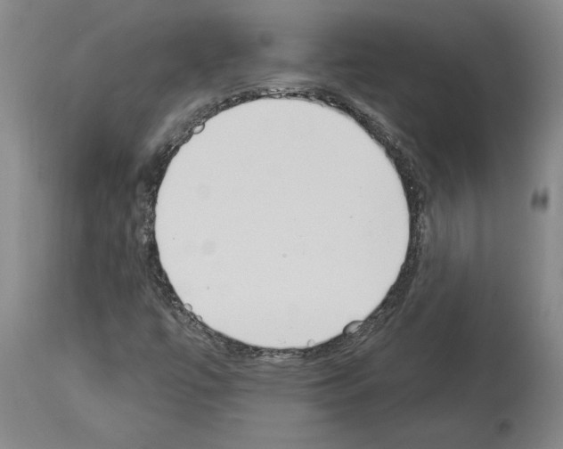 X0000114001447200911131130