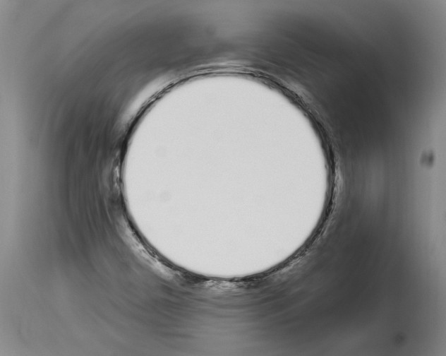 X0000114001450200911131129