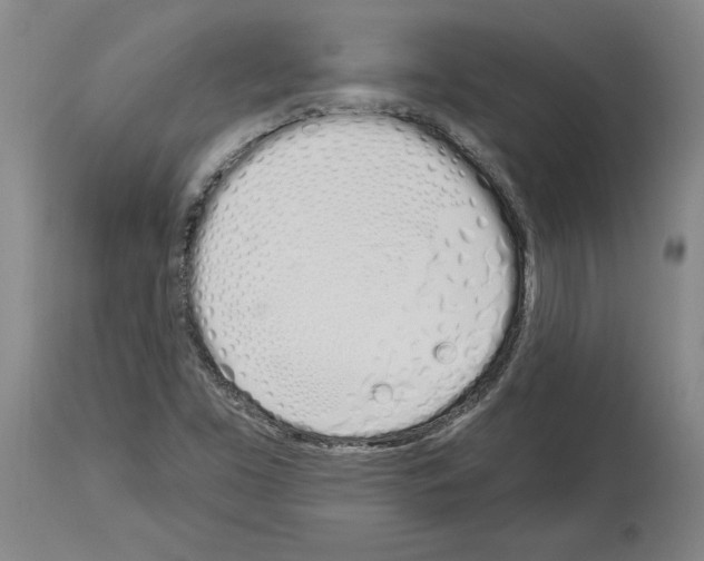 X0000114001453200911131129