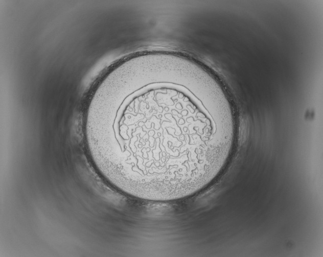 X0000114001454200911131129