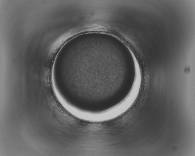 X0000114001455200911131129