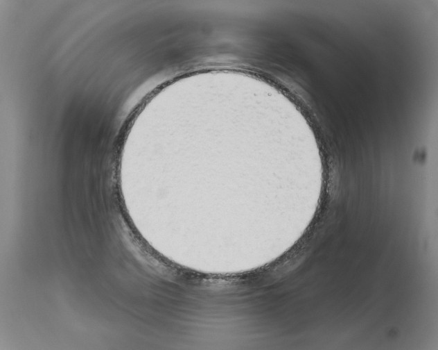 X0000114001458200911131129