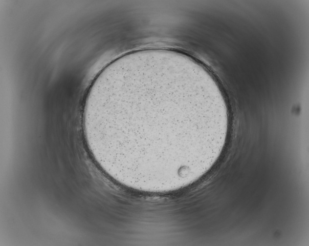 X0000114001459200911131129