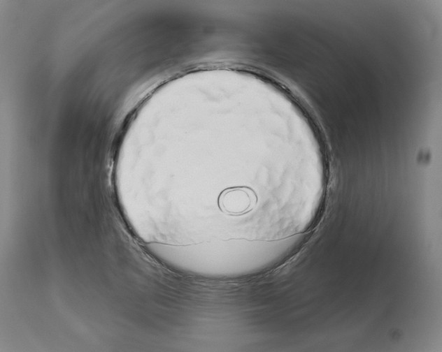 X0000114001461200911131129