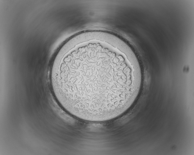 X0000114001462200911131129