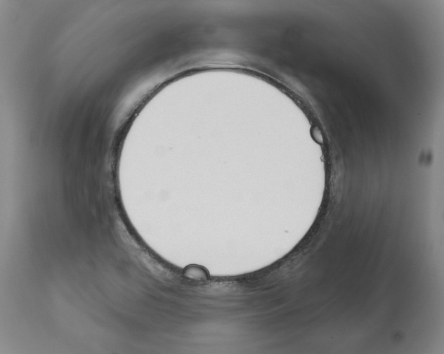 X0000114001464200911131129