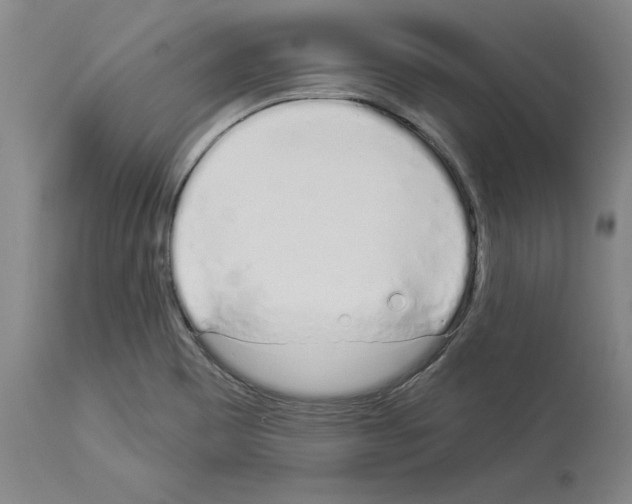 X0000114001465200911131129
