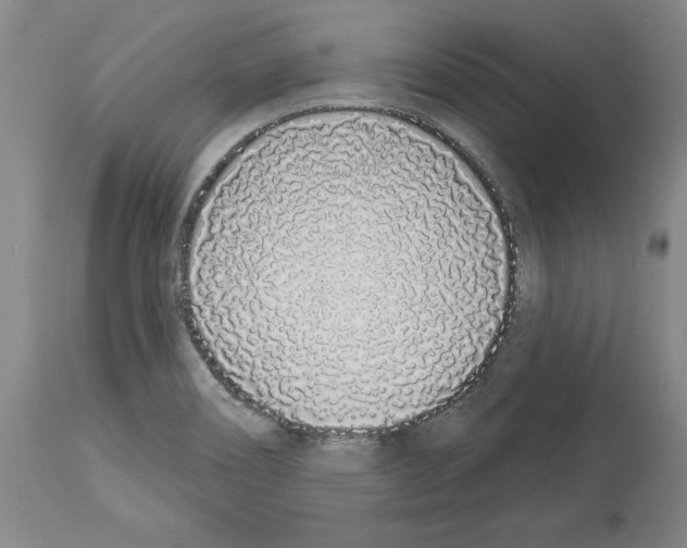 X0000114001466200911131129