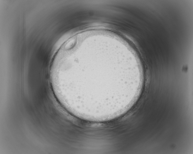 X0000114001467200911131129