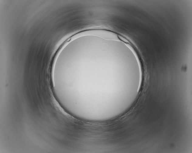 X0000114001468200911131129