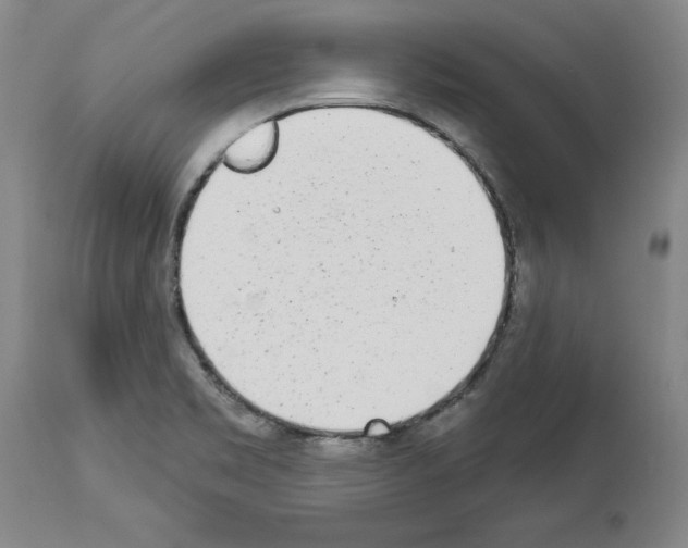 X0000114001469200911131129
