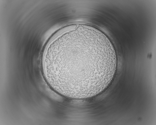 X0000114001474200911131129
