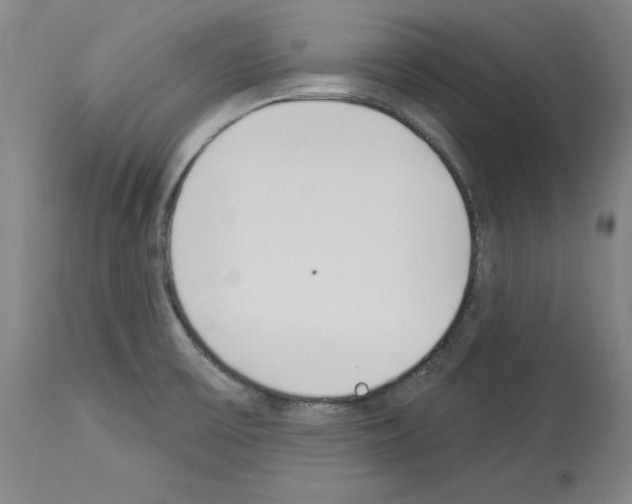 X0000114001475200911131129
