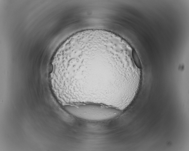 X0000114001477200911131129