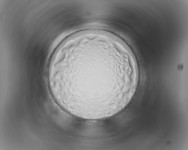 X0000114001478200911131129