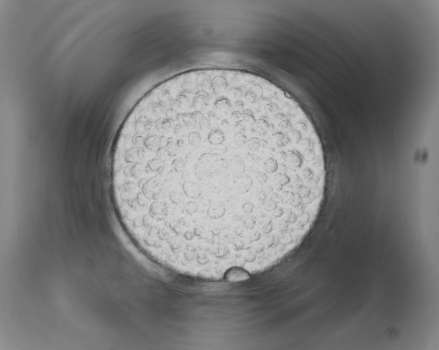 X0000114001479200911131129