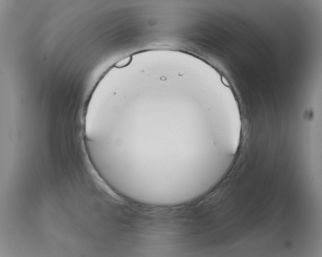 X0000114001480200911131129