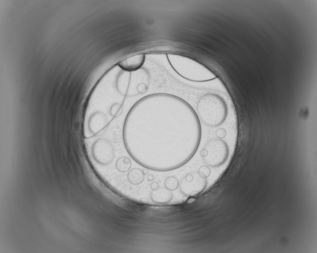 X0000114001483200911131129