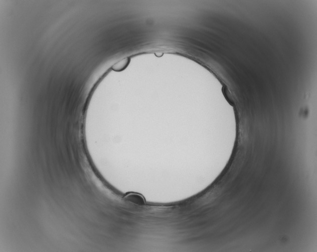 X0000114001484200911131129