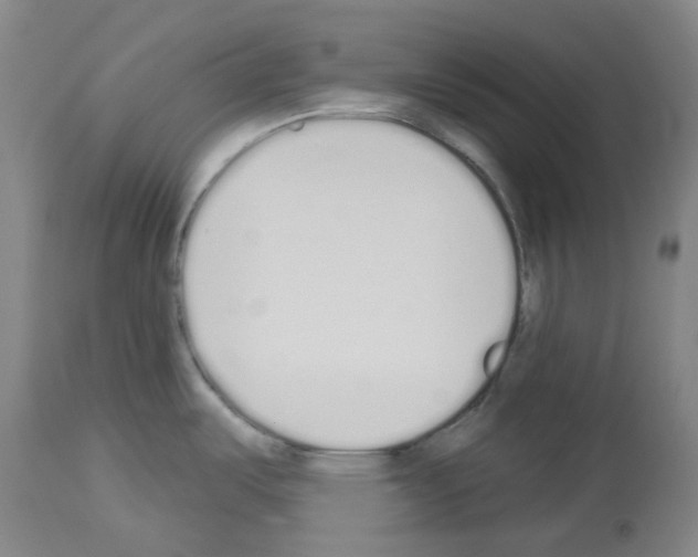 X0000114001487200911131129