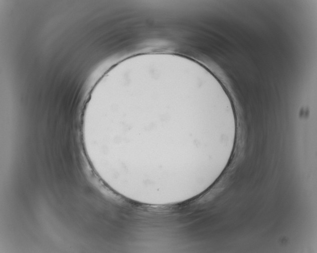 X0000114001488200911131129