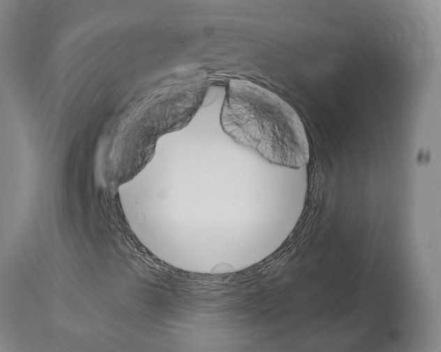 X0000114001489200911131128