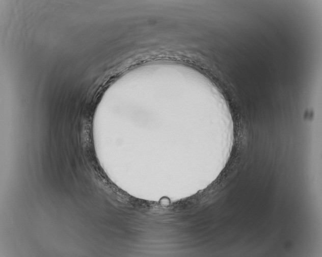 X0000114001490200911131128