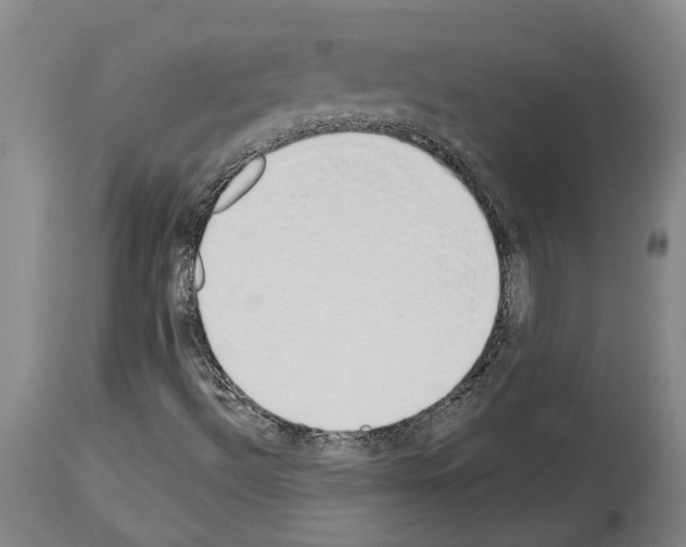 X0000114001492200911131128