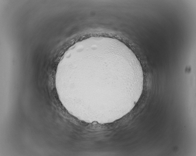 X0000114001493200911131128